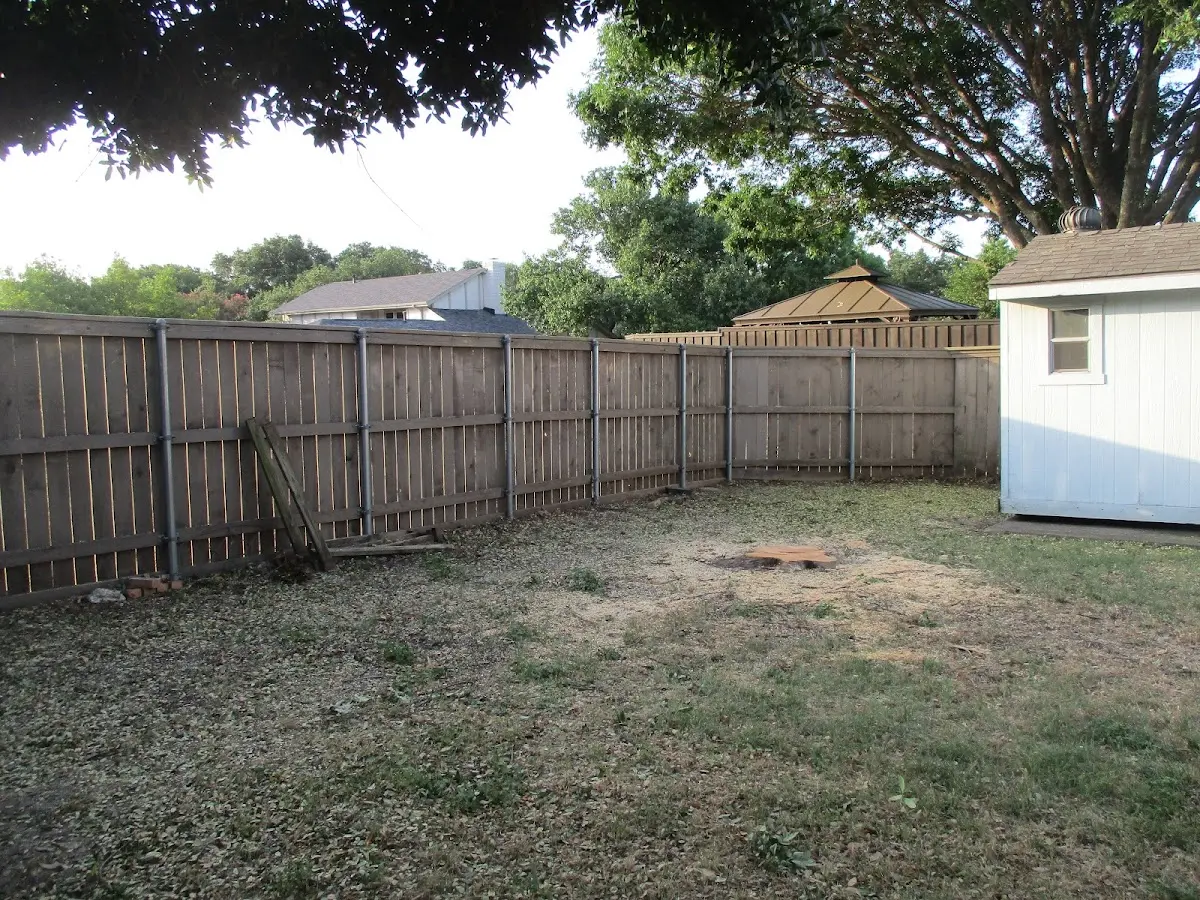 Cleared yard after professional tree removal in Starkville